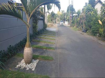 Tanah Maguwo, Ringroad Utara: Tepi Jalan Raya