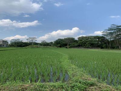 Tanah Sawah Di Jl Krawitan Ngemplak,2 menit Kampus UII Terpadu;Jogja