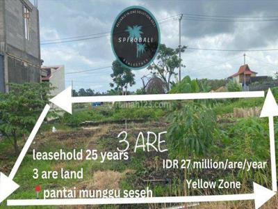 Leasehold 3 Acre Land Close to Seseh Beach Munggu