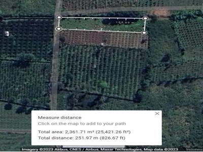 Tanah Kebun Dijual Murah 2361m2, Rp. 75.000 / m2