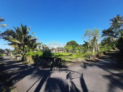 Dekat UII, Tanah Pekarangan, Cocok Hunian Villa, Yogyakarta