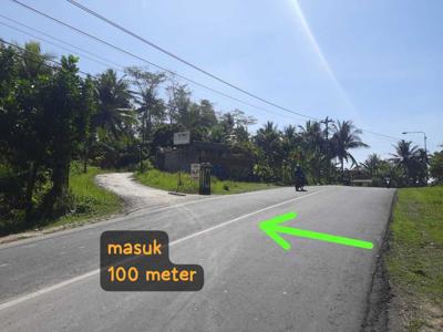 Tanah Luas dekat Makam di Kaliagung, Sentolo, Kulon Progo.