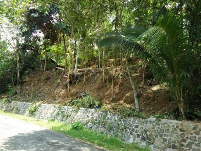 Tanah Murah Pinggir Jalan Lingkar Waduk Sermo.