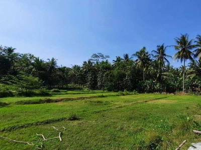 800 Rb-an, Tanah Investasi di Kulon Progo