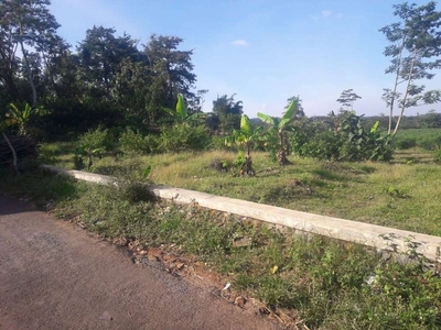 Di Jual Cepat Tanah Di Desa Waringin Kudus