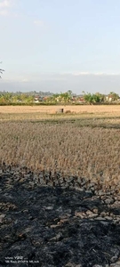 Dijual sawah shm jalur kuning bisa dikeringkan luas 1140m l