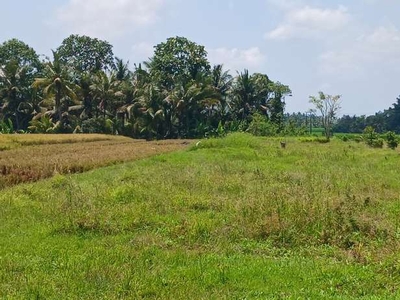 Dijual tanah di Kaba - Kaba Kediri Tabanan Bali