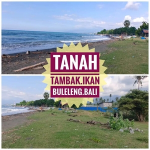 Jual Tanah Tambak Ikan Pantai Gerokgak Bali
