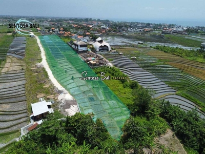 Land for lease in Cemagi Badung Bali - Ricefield view