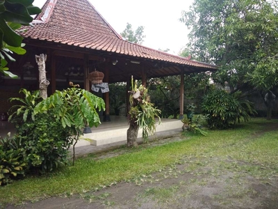 Rumah joglo dekat RS Wirosaban Dekat Uad 1000 Meter