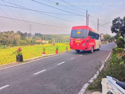 Sawah Ngaliyan Murah Pinggir Jln Dilewati BRT