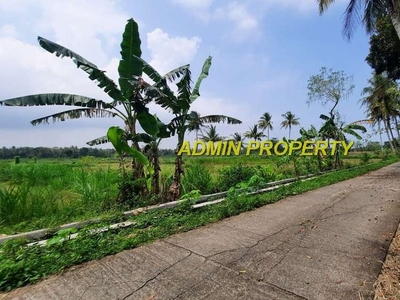 Tanah Dijual Pengasih, Dekat Kampus UAD 4 View Sawah