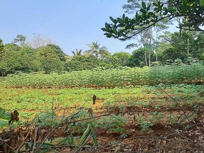 Tanah Investasi Cisauk Tangerang
