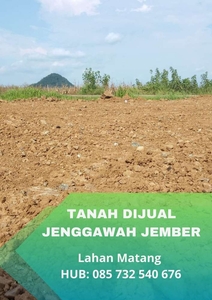 Tanah Jenggawah Luas 120 m2