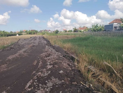 Tanah Kavling lokasi di dalung badung