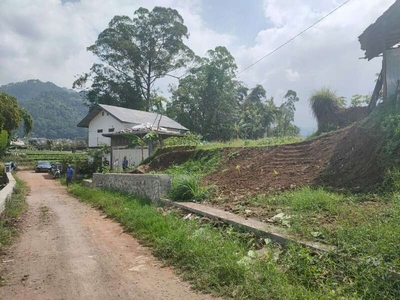 TANAH SAWAH SUBUR HARGA BAGUS DI SUMBEREJO KOTA BATU.