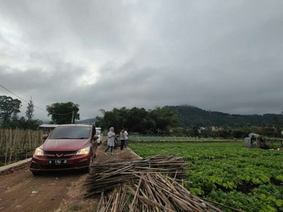 TANAH SAWAH SUBUR HARGA ISTIMEWA DI SUMBEREJO KOTA BATU.