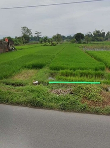 Tanah Tepi Jalan Raya Di Seyegan Sleman Yogyakarta