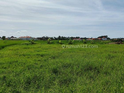 1000 m2 Land In Cemagi For Lease