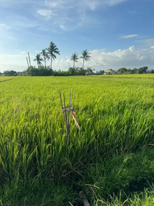 15mnit to Pererenan Canggu, Nyanyi Beach.