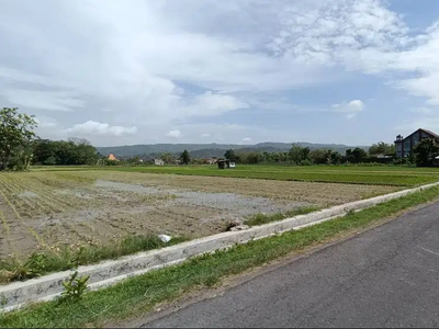 Dekat Jogja TV, Tanah Murah Bantul; View Bukit Bintang
