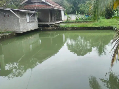 Di jual kolam Empang aktip strategis dan ada tanah dartnya.