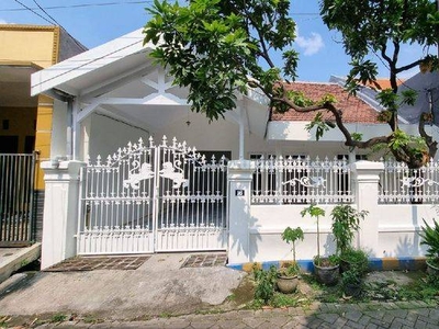 Di Kontrakan Rumah Siap Huni