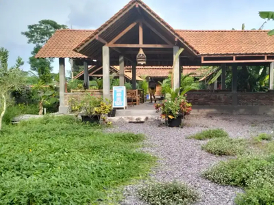 Disewakan bangunan resto view merapi dan sawah di Purwomartani