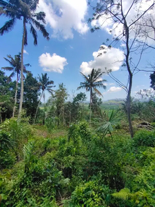 Tanah di Ababi view Sawah dan Gunung