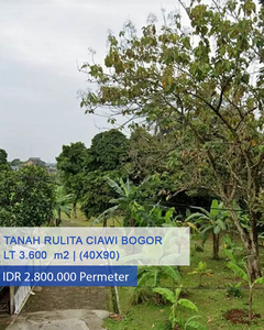 Tanah Dijual Cepat Di Jl Rulita Ciawi Bogor Jawa Barat