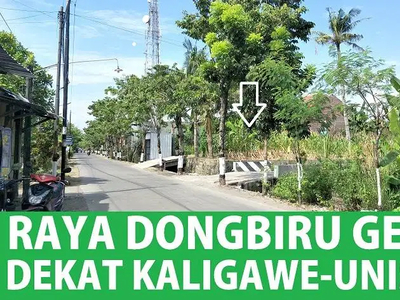 Tanah HM Raya Dongbiru Dekat Kecamatan Genuk,Unisula,RS Sultan Agung