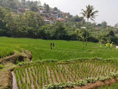 Tanah Jatinangor cocok untuk kos