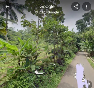 Tanah kebun albasiah pinggir jalan cimalaka citimun