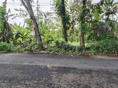 Tanah kosong pinggir jalan utama dekat wisata Owabong Purbalingga