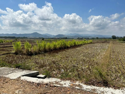 Tanah Mulai 1 Jutaan Kulon Progo 5 menit ke Polsek Panjatan