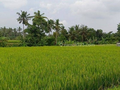 TANAH SEWA VIEW KEREN ZONA KUNING SIAP BANGUN