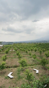 Tanah SHM murah kota batu