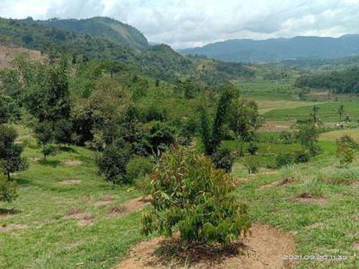Tanah Murah Luas 1000 Meter Free AJB Khusus Kebun View Sungai Dan Pesa