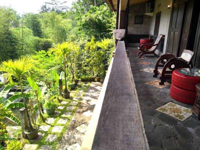 Rumah Etnik Cantik di Purwomartani