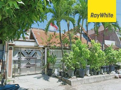 Disewakan Rumah Pusat Kota di Jl Jimerto Bkr Pelajar Surabaya