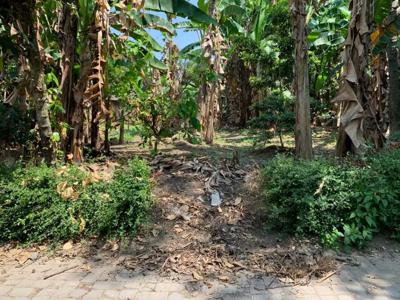 Tanah Proposional Di Pengging Hadap Jalan