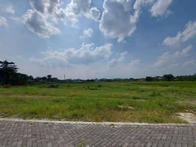 Tanah Jogja Kavling Eksklusif View Sawah Selatan Plaza Ambarukmo