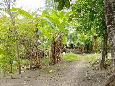 Tanah Murah di Jalan Pleret Dekat Lapangan Jambidan