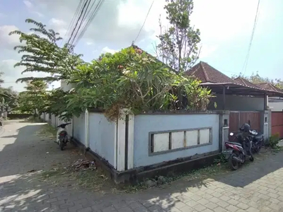 Dijual Rumah Pandak Mansion Tabanan Bali Super Murah