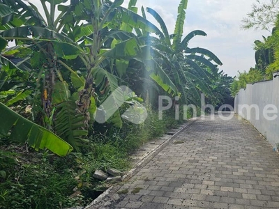 Disewakan Tanah Residensial Murah Strategis di Pantai Berawa Canggu Bali | Pinhome