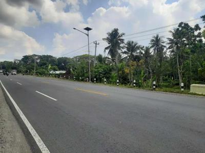 Tanah Pekarangan 1140m2 Mangku Jln Wates jalan Nasional Kulon Progo