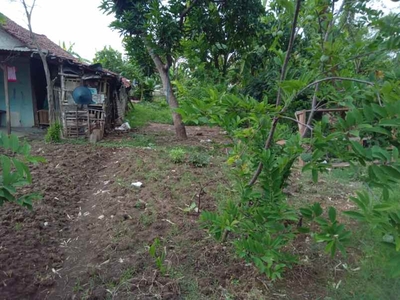 Dijual Cepat Tanah Siap Bangun Lokasi Dekat Masjid Namira Lamongan