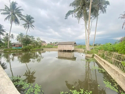 Dijual Kolam Ikan