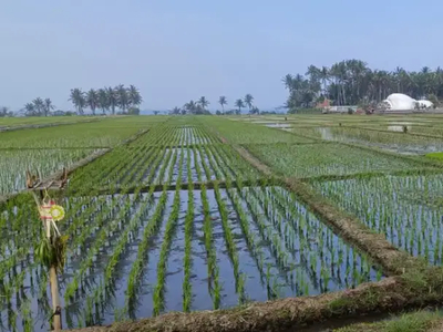 Dijual tanah dekat pantai di Tabanan Bali