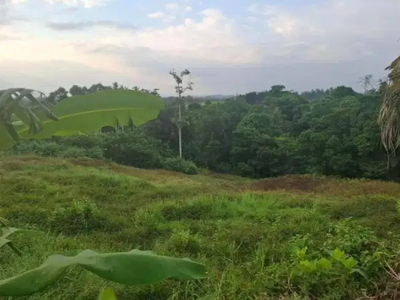 klecung Tabanan 1.8 hektar tanah di jual murah